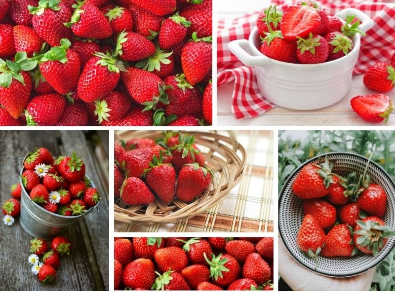 Fresh-Strawberries