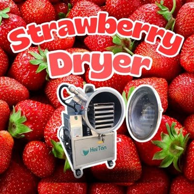 Strawberry-dryer