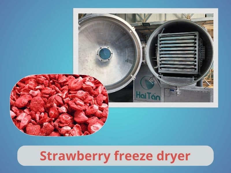 strawberry-freeze-dryer