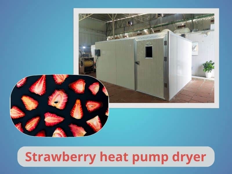 strawberry-heat-pump-dryer