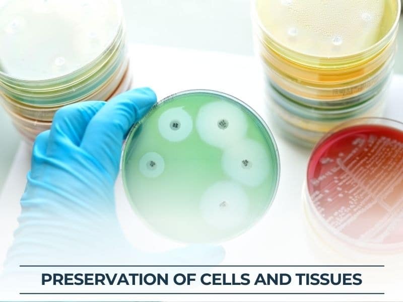 Preservation-of-Cells-and-Tissues